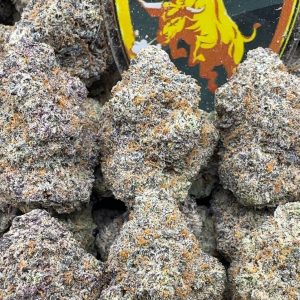 VAR-0013 - Black Truffles
