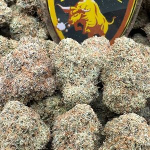 VAR-0080 - Malibu LCG