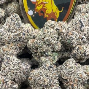 VAR-0009 - Super Candy Kuntc