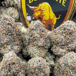 VAR-0025 - Hype Lemon Gelato