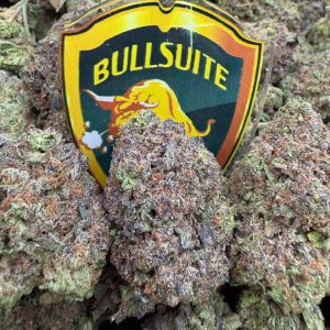 #BI - Vampire Gelato