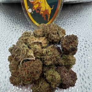 #AR - Prince Gelato