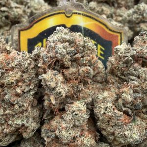 Gorilla Glue King